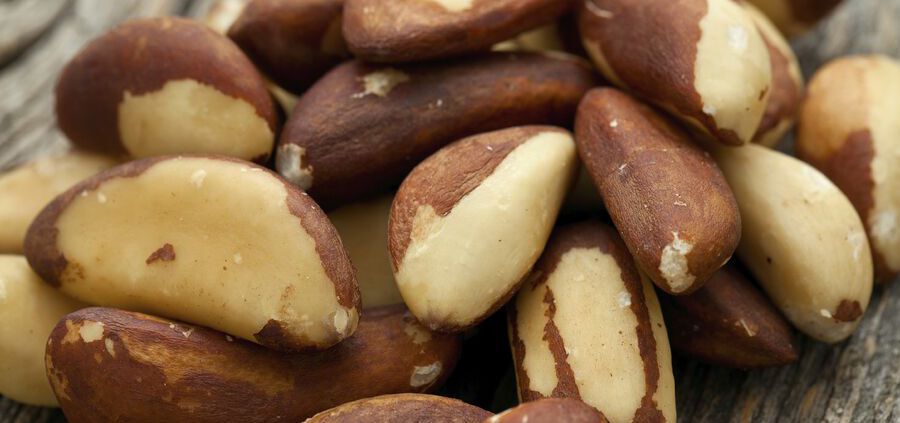 Brazil Nuts