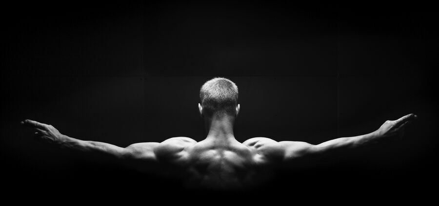 Muscles