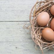 Eier