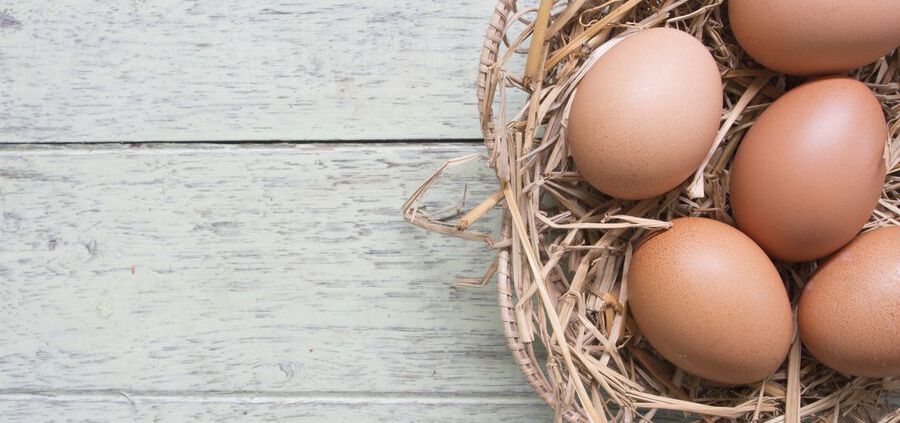 Eier