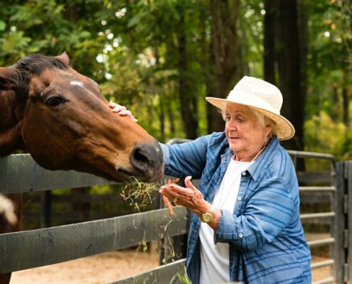 Pferdegestuetzte-Seniorenbegleitung Kurs