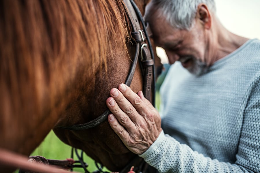 Pferdegestuetzte-Seniorenbegleitung-Kurs