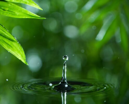 Kursleitung Detox und Fasten