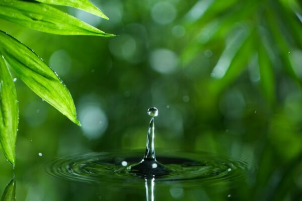 Kursleitung Detox und Fasten