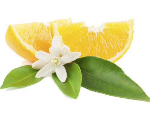 Orange with a flower and leaves Orange With A Flower And Leaves