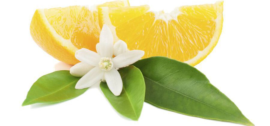 Orange With A Flower And Leaves