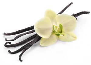 Vanilla sticks with a flower on a white background.