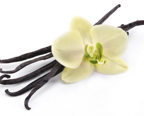 Vanilla Sticks With A Flower On A White Background.