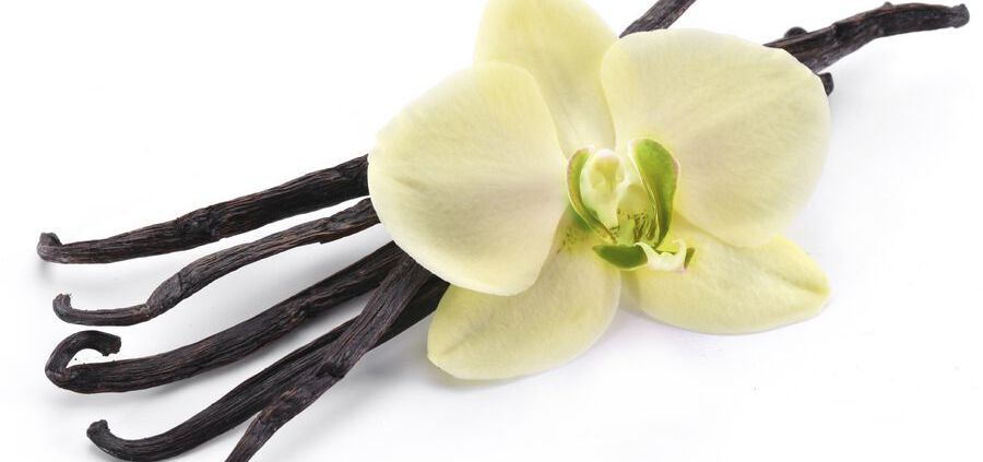 Vanilla Sticks With A Flower On A White Background.
